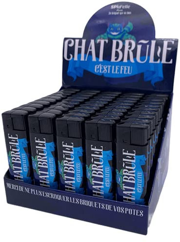 Briquet électronique Chat Brule | Boite 50 briquets Chat