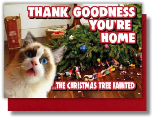 Funny Cat Christmas Card – The Christmas Tree Fainted XM362 | Mischievous cat humour for friends, family and pet lovers who enjoy funny festive cards