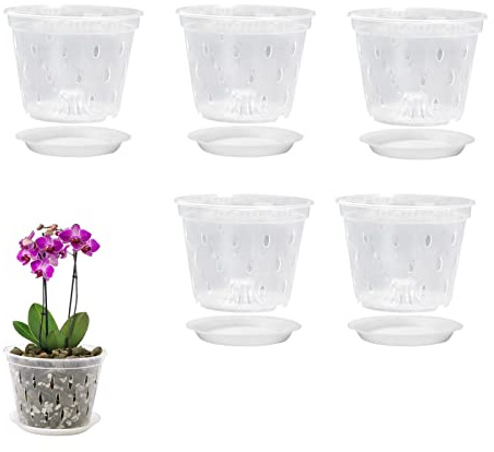 5 vasi per orchidee trasparenti, 14 cm, in plastica con fori e piattini, per interni ed esterni, da giardino, balcone, per piantare fiori, orchidee, , piante viola
