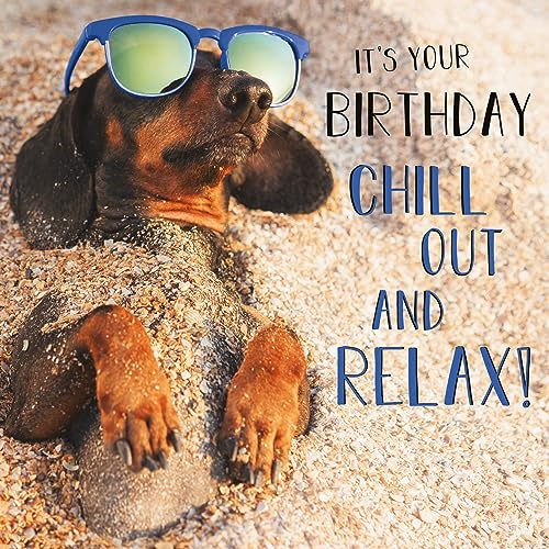 Abacus Male/Female Birthday Card - General Funny Card for Men/Women - 'Chill Out and Relax' Dachshund Dog on Beach - Eco-Friendly & Recyclable - Made in the UK Cards
