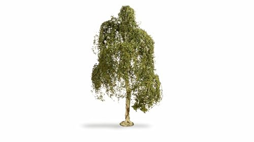 NOCH® Bouleau Suspendu, Arbre de modélisme, 18 cm de Haut, Parfait pour Les écarteurs de Voie H0, TT, N, Z Ainsi Que la Construction de dioramas, Le Bricolage et Le Bricolage