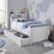 Venus Bookcase Day Bed Guest Bed Kids Storage Bed (White, Bed and Trundle)