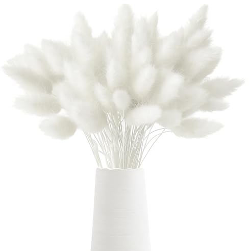 120 Teste di Erba Della Pampa Secca Fiori Secchi Pampasgras Bouquet Erba di Coda di Coniglio Secca Fiori Secchi Bianchi per Decorazioni Domestiche Matrimoni Eventi Sale per Eventi(Bianche)
