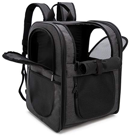 Apollo Walker Haustiertragetasche Rucksack für große/kleine Katzen und Hunde, Welpen, Sicherheitsmerkmale und Kissenrückenstütze für Reisen, Wandern, Outdoor (Schwarz)