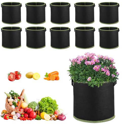 Dhqkqg Bolsas de plantación de tela no tejida, 10 unidades de patatas de tela no tejida, bolsas para plantas de 12 L con asas, sacos de plantación para tomates, verduras, flores, bolsas de cultivo