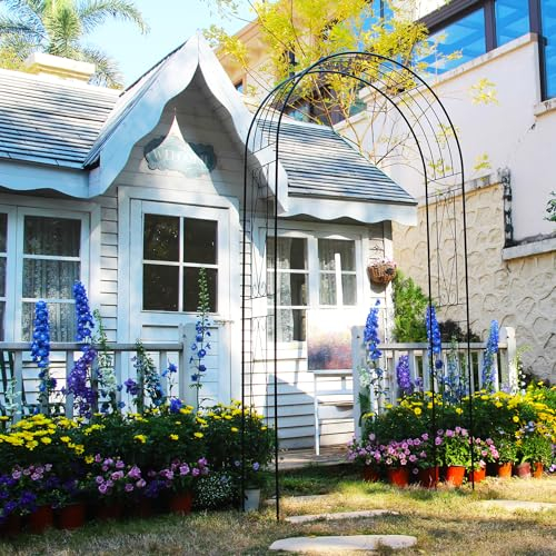 SCENDOR GARDEN Rosenbögen Gartenbogen, 120 cm x 36 CMx 240 cm, Eisen Torbogen für Verschiedene Kletterpflanzen, Dekorative Gartenlaube für den Außenbereich Garten Rasen Hinterhof Dekor Schwarz