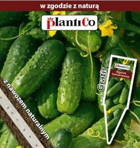 PlantiCo cetriolo da esterno Maksimus F1 nastro di semi 5 m Semi di ortaggi robusti Semi di ortaggi Semi per la coltivazione Giardino in serra Giardino di ortaggi