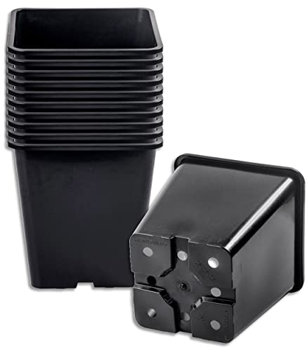 Wohnkult 10 x Pflanztopf 11 L schwarz 25x25x26cm Blumentopf Blumenkübel Pflanztöpfe