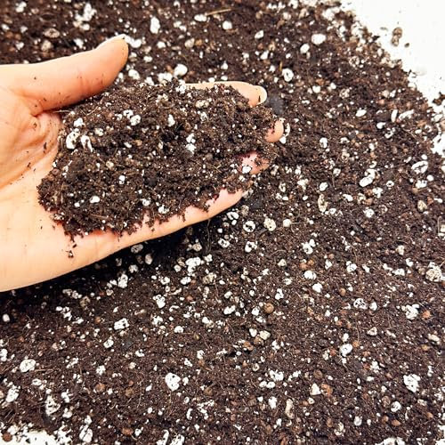 Premium Orchid Potting Mix with Biochar & Coco Coir – Fine Orchid Bark, Perlite & Gentle Organic Feed – Fast Draining Soil for Phalaenopsis & Indoor Orchids (15L)