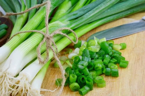 Semi di erba cipollina, erba aromatica no OGM seeds semen semillas graines