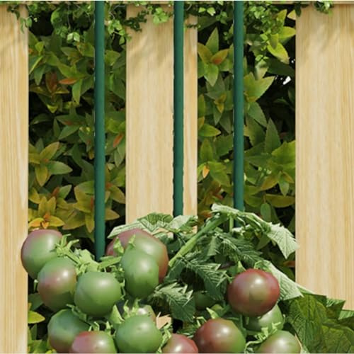 30 soportes para plantas de acero de 60 cm, color verde, ayuda para escalar tomates, pepinos, hortensias y plantas trepadoras en interiores y exteriores