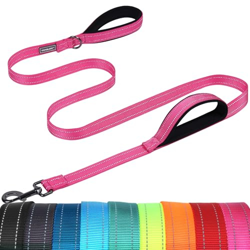 VIVAGLORY Dog Leash Twingrip Double Handle Dog Leash with Traffic Handle Control & 2 Loop for Walking & Training, Reflective Heavy Duty for Puppy Pet Collar, 4ft x 1in, Pink