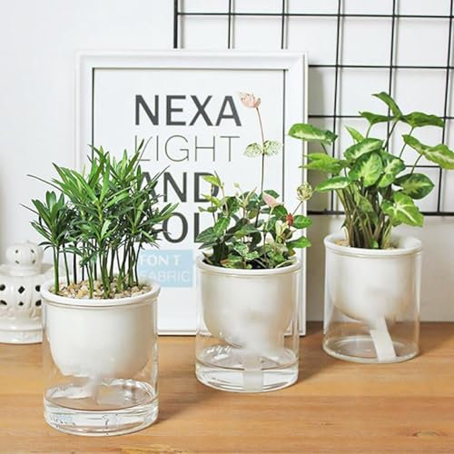 Lot de 2 pots de fleurs à arrosage automatique pour intérieur/extérieur, convient pour fleurs et herbes aromatiques