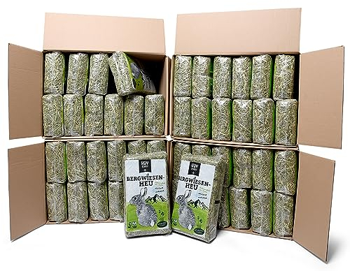 Hayrabbit - Bergwiesenheu 48kg - Heu Aus Deutschen Gründlandregionen - Abgepackt In 1kg Beuteln