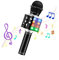 Drahtloses Bluetooth Karaoke Mikrofon für Kinder, Tragbarer 4-in-1 Karaoke Maschinenlautsprecher, Heim KTV Player mit Aufnahmefunktion, Kompatibel mit Android iOS und PC (Black)