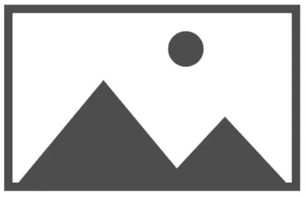 Dell LCD HUD 220 NT SLVR 7580