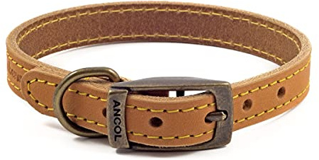 Ancol Timberwolf - Collar de Perro de Cuero de Primera Calidad, Accesorio cómodo y Duradero para Entrenamiento de Mascotas, Cuero de Brida Mostaza, Suave, Flexible, tratado al Agua, 26-31 cm, Talla 2