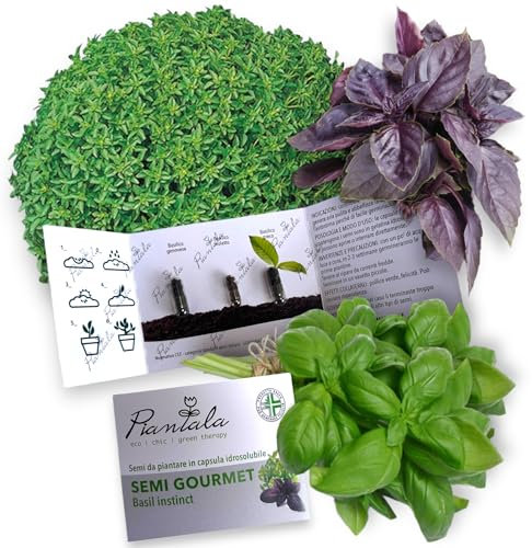 SEMI PIANTABILI (SEMI GOURMET BASIL: basilico genovese, greco, violetto)