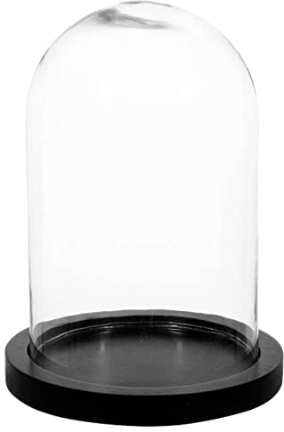 Atmosphera - Cloche - Verre et Bois - Transparent - H26 cm