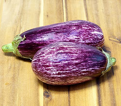 Aubergine Gestreift Mini - Eierfrucht - 50 Samen