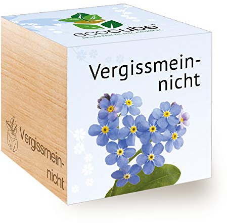 Feel Green Ecocube Vergissmeinnicht, Nachhaltige Geschenkidee (100% Eco Friendly), Grow Your Own/Anzuchtset, Pflanzen Im Holzwürfel, Made in Austria