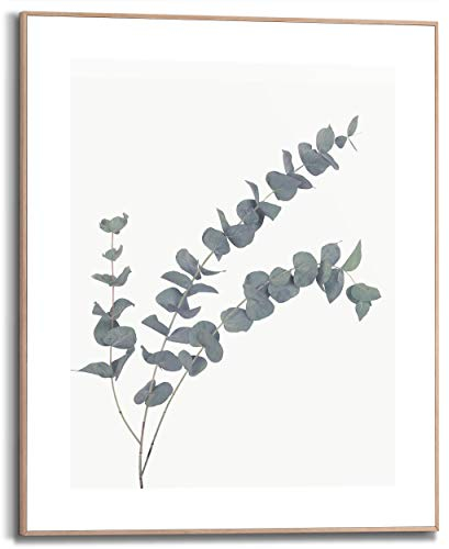 REINDERS Gerahmtes Bild, Eukalyptus, Wohnzimmer, Bilder, Wanddeko, Room Decor, MDF, Grün, 50x40cm