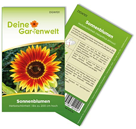 Sonnenblumen Herbstschönheit Samen - Helianthus annuus - Sonnenblumensamen - Blumensamen - Saatgut für 30 Pflanzen