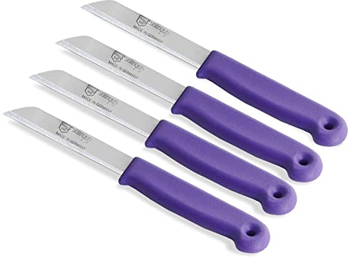 Set de couteaux à fruits de Solingen Fabriqué en Allemagne Lames tranchantes en acier inoxydable pour couper les fruits et légumes (Lot de 4, Long)