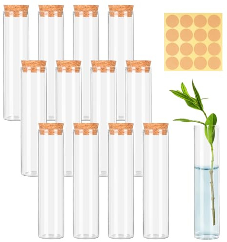 12 tubos de ensayo transparentes con corcho, 30 mm x 120 mm, tubos de ensayo de vidrio, tubos de vidrio con etiquetas, tubos de ensayo para flores, especias, líquidos y bricolaje