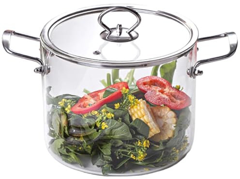 Jorzer Pentola in vetro con coperchio, 4 l, trasparente, con doppio manico in acciaio inox, pentole in vetro resistente al calore, per cucinare pasta, pasta, zuppa, latte