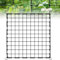 Coffee Life Plus Red de Tienda de Cultivo,40/60/90/120CM Red de Enrejado elástico,Red de Soporte de Plantas para Verduras,Enrejado de Red Flexible,Malla elástica para Plantas con Ganchos (120x120cm)