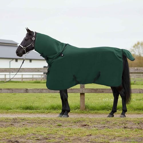 Runheo Couverture Équine Gris Clair et Rose Polyester Respirant Protection Chaleur Hiver extérieur Paddock Box