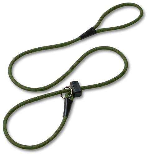 Fenrir Slip Leash 1.4m Professional Dog Training Lead To Stop Pulling, Perfect For Walks, Easy To Use, Spring Loaded Stopper, Light Weight And Durable (Green)