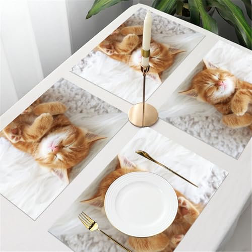 UREJD 4 Unità - 45x30 cm - Tovaglietta Lavabile,Resistente al Calore,Antiscivolo,Antimacchia per Tavolo della Cucina e Sala - Carino Gatto che dorme gattino arancione animale domestico bianco