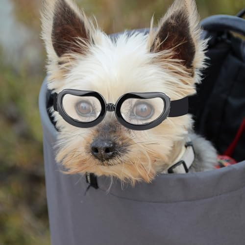 Namsan Klare Hundebrille, UV-Schutz, Anti-Beschlag-Sonnenbrille für kleine Hunde, winddichter Augenschutz, transparent