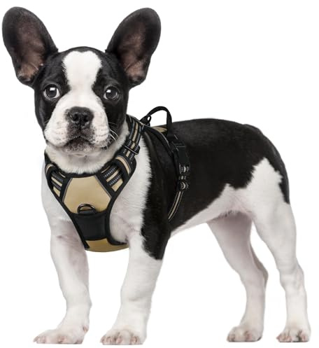 rabbitgoo Harnais Chien S Arnais Beige Anti Traction Réfléchissant Gilet Réglable pour Chien, Attache Devant Crochet de Laisse pour Randonnée Trajet Voiture, Bouledogue Français, Berger Australien