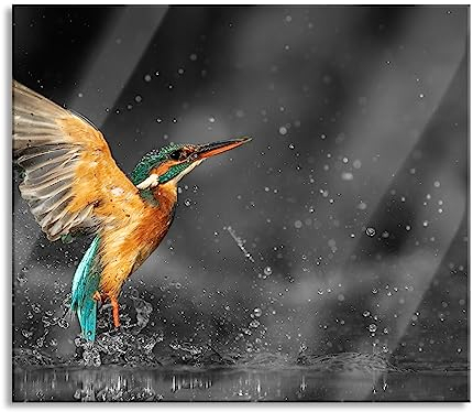 Pixxprint B&W Detail Plaque de recouvrement de cuisinière et protection anti-éclaboussures en verre véritable pour cuisinière 60 x 52 cm