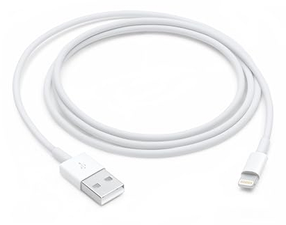 Apple Lightning auf USB Kabel (1 m) 