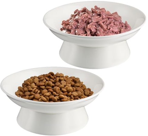 TIGOADT Ciotole Rialzate per Gatti Larghe 15,3 cm, 2 Pezzi Ciotole per Gatti Ceramica, Poco Profonda Ciotola Gatto Anti Vomito con Supporto, Lavabili in Lavastoviglie (Bianco)