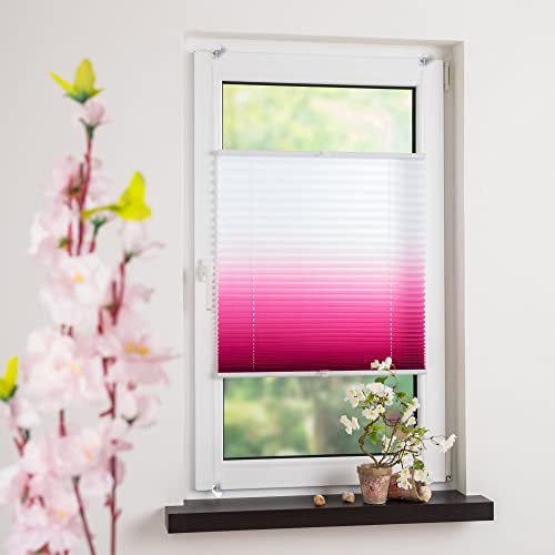 Homelia Plissee mit Farbverlauf, Blickdicht, inkl.Klemmträgern, Montage ohne Bohren, Breite: 120 cm/Länge: 130 cm, Farbe: pink