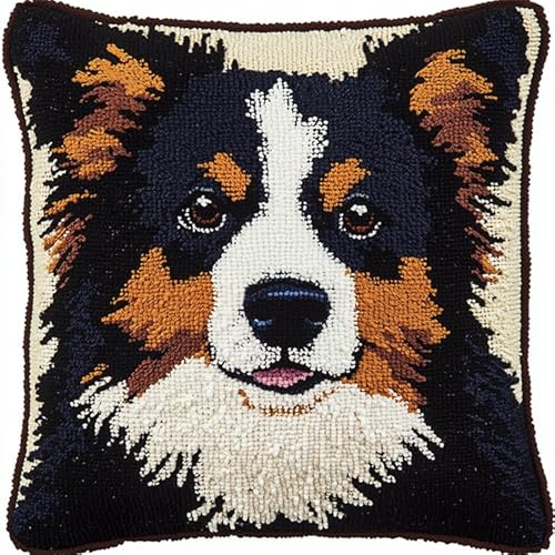 Cane animale DIY Kit Ricamare Cuscini,Border Collie,Kit di Ganci a Chiusura per Cuscino,Federa per Cuscino per Divano per Adulti,Home Decor,43x43cm