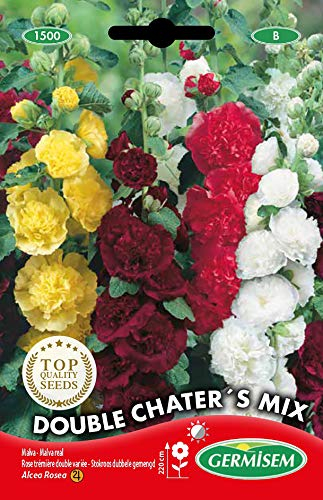Germisem Graines Rose trémière double variée Double Chater´S Mix EC1500 Multicolore
