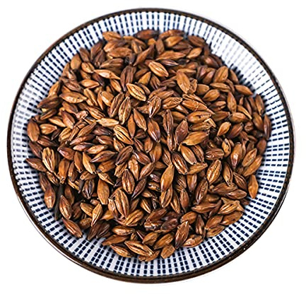 HELLOYOUNG Té De Hierbas Natural Té De Cebada Mugicha Sabor a Boricha Preparación a Granel Té De Cebada Tostada Con Un Rico Aroma Tostado Que Favorece La Digestión (250g)
