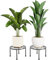 Bamworld 2 Pack Plant Stands Indoor Outdoor, Heavy Duty Flower Pot Stands for Large Plants, Anti-Rust Iron Metal Plant Holder for Home Deco