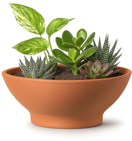 FRANCACOR Maceta Barro Natural Terracota Baja Redonda con PIE (Terrina Barro) (26 X 11 CMS)