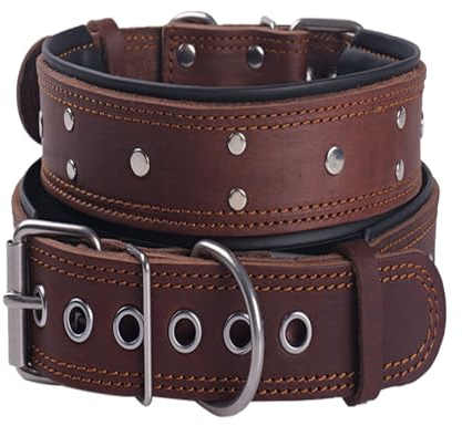 Collare per Cani Con Borchie in Pelle, Imbottito, Extra Spesso e Largo 5 cm, in Vera Pelle Morbida e Resistente, Per Cani di Taglia Media e Extra Grande (Marrone, XXL)