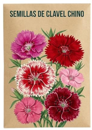 Flores Ornamentales para Balcón o Jardín | Semillas de Clavel Chino para Temporada de Primavera y Verano – DECOALIVE