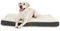 BEDSURE orthopädisches Hundebett kleine Hunde - 76x51x7.6cm Hundekissen flauschig Hundematte waschbar Hundematratze in grau für kleine Hunde