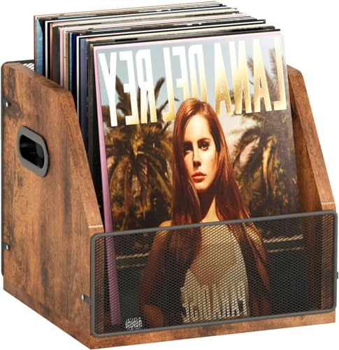 EATAN Scatola portaoggetti per dischi in vinile, organizer da scrivania in metallo e legno, può contenere fino a 60 dischi