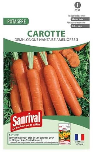 Graines Carotte demi longue Nant Amel
